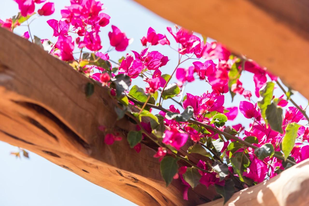 Valley Club Ibiza - Boutique Agroturismo Сан Йоан де Лабрита Екстериор снимка