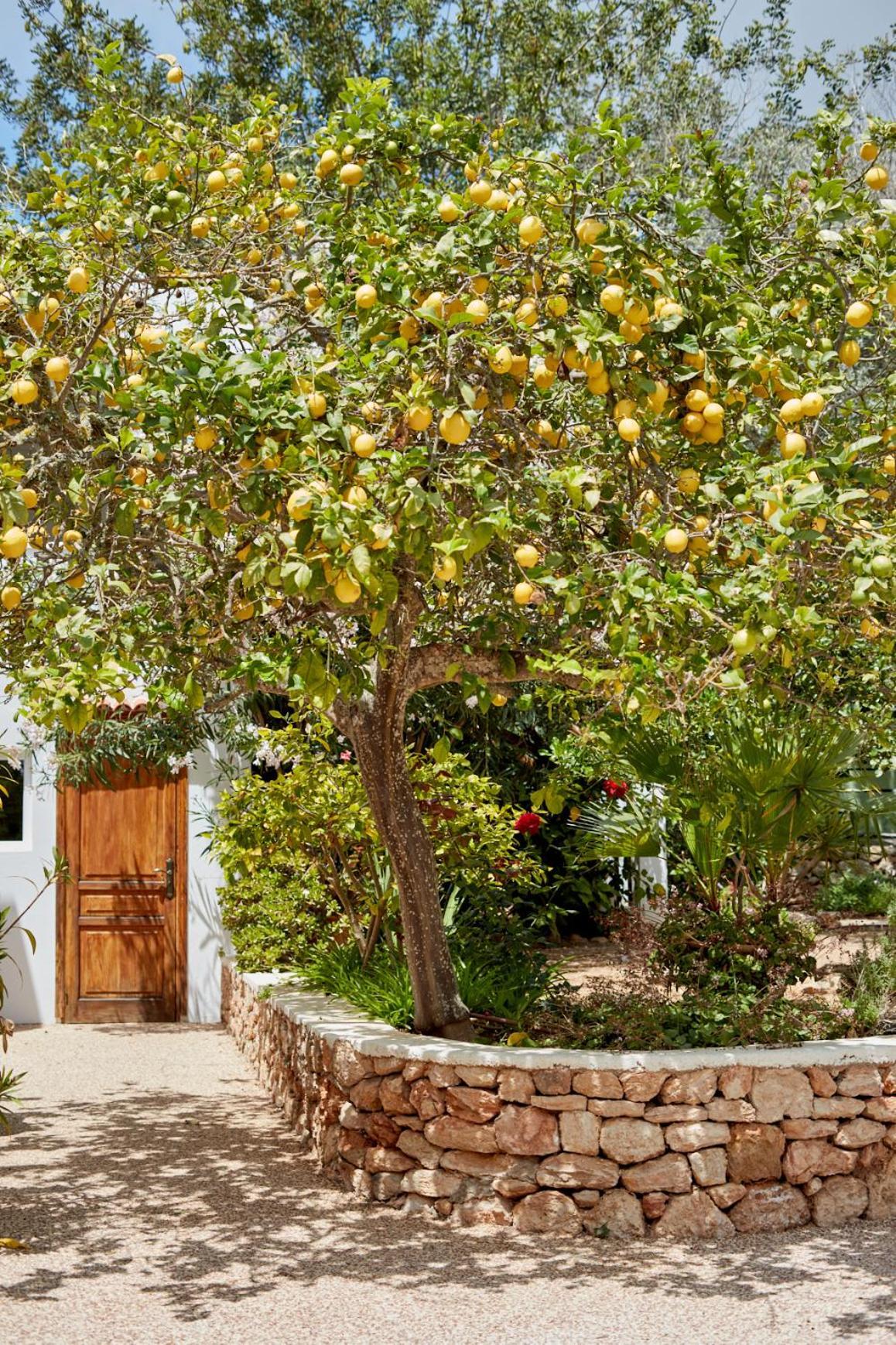 Valley Club Ibiza - Boutique Agroturismo Сан Йоан де Лабрита Екстериор снимка